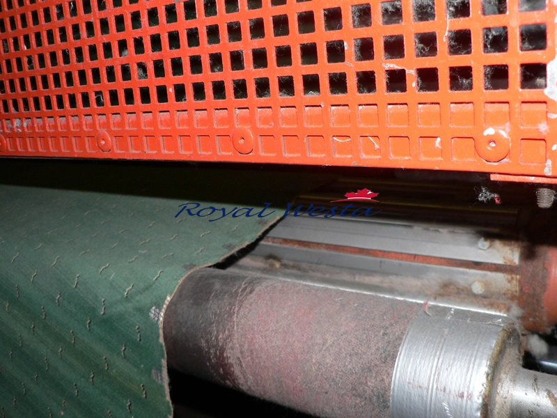 AE91120220ECLI Velvet Finishing LineRoyalWesta (4) AE91120220ECLI Velvet Finishing LineRoyalWesta (4)